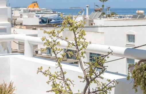 Apartment with Sea View